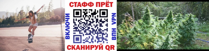 Магазины продажи наркотиков Ржев A PVP  КОКАИН  АМФЕТАМИН  Каннабис  ГАШИШ  Мефедрон 