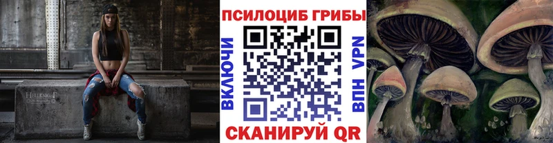Псилоцибиновые грибы прущие грибы  Ржев 