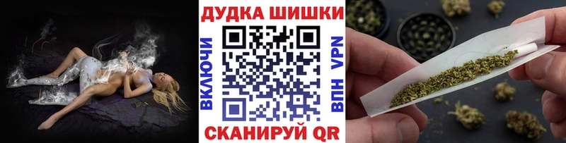 дарнет шоп Ржев Бошки марихуана сатива